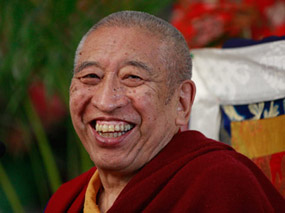 karmapa and rinpoches