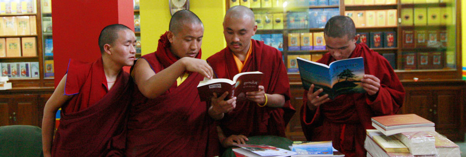 Students reading at Library